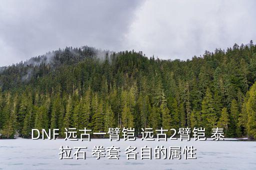 DNF 远古一臂铠 远古2臂铠 泰拉石 拳套 各自的属性