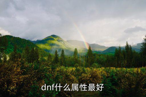 dnf什么属性最好