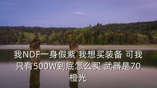 我NDF一身假紫 我想买装备 可我只有500W到底怎么买 武器是70橙光