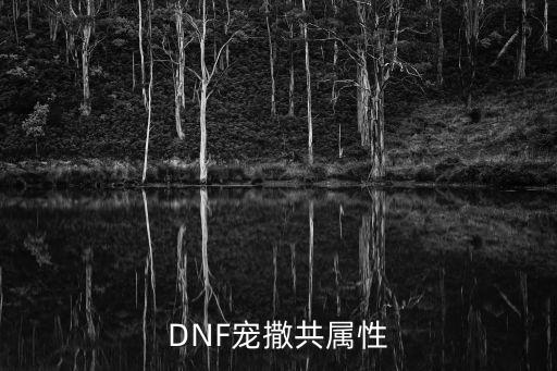 DNF宠撒共属性