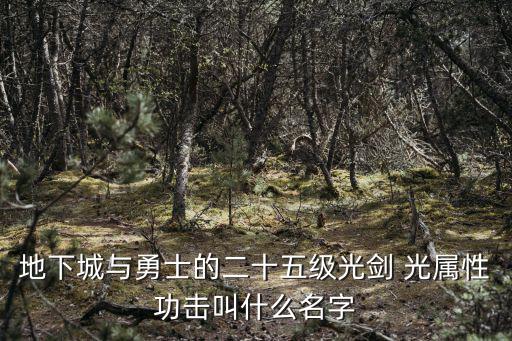 地下城与勇士的二十五级光剑 光属性功击叫什么名字