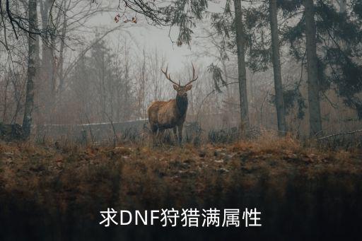 dnf狩猎者属性堆什么，DNF狩猎者是光属性吗