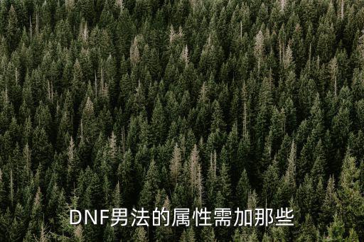 DNF男法的属性需加那些