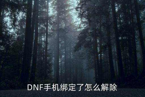 dnf手游韩服绑定卡片怎么办，DNF手机绑定了怎么解除