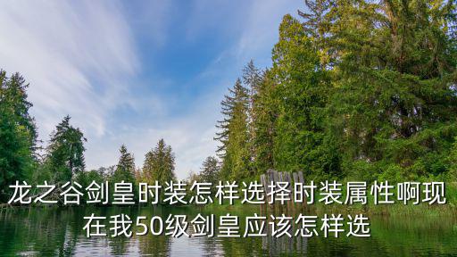 龙之谷剑皇时装怎样选择时装属性啊现在我50级剑皇应该怎样选