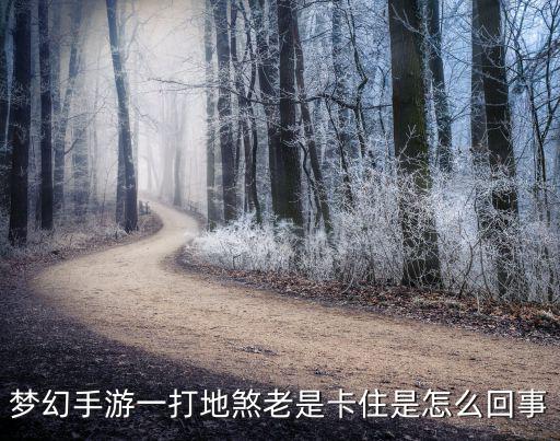 梦幻手游一打地煞老是卡住是怎么回事