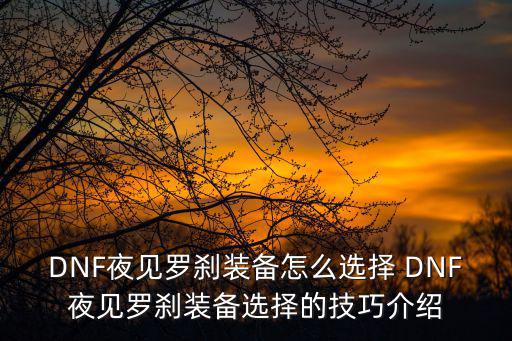 dnf夜见罗刹堆什么属性，DNF第三季修罗堆什么我想堆独立虽然修罗现在武器是什么属性技