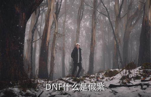 DNF什么是假紫