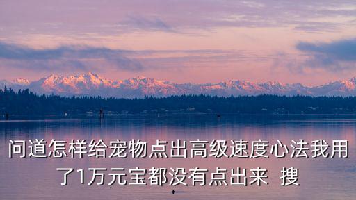 问道怎样给宠物点出高级速度心法我用了1万元宝都没有点出来  搜