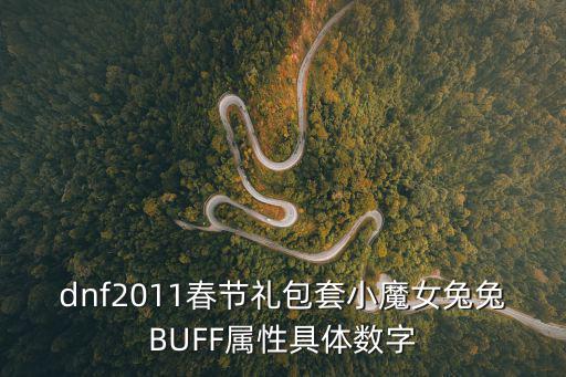 dnf2011春节礼包套小魔女兔兔BUFF属性具体数字