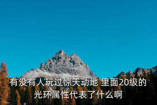 有没有人玩过惊天动地 里面20级的光环属性代表了什么啊