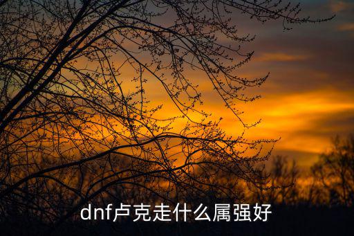 dnf卢克走什么属强好