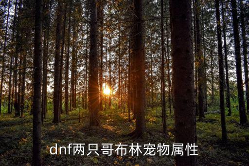 dnf两只哥布林宠物属性