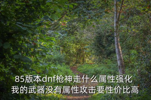 85版本dnf枪神走什么属性强化 我的武器没有属性攻击要性价比高