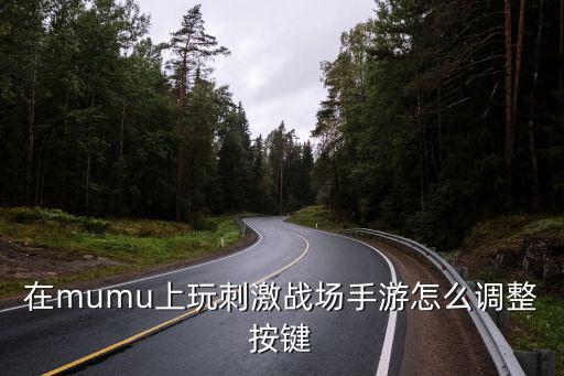 在mumu上玩刺激战场手游怎么调整按键