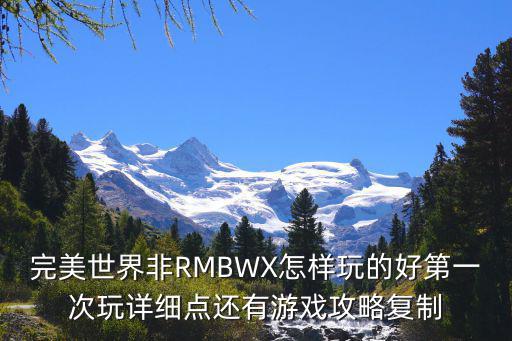 完美世界非RMBWX怎样玩的好第一次玩详细点还有游戏攻略复制