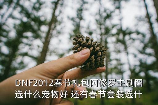 dnf年套宠物属性什么好，DNF2012春节礼包阿修罗主刷图选什么宠物好 还有春节套装选什