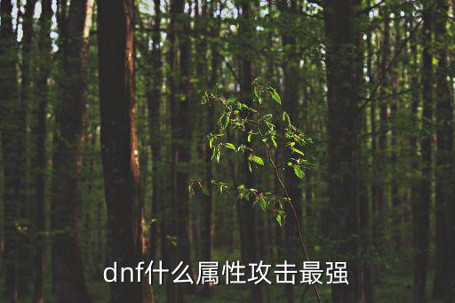 dnf什么属性攻击最强