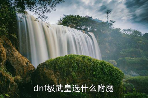 dnf极武皇选什么附魔