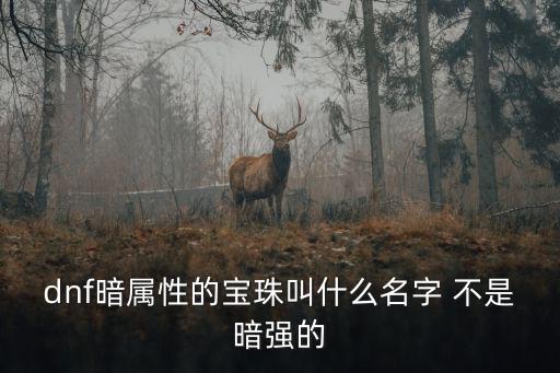 dnf暗属性的宝珠叫什么名字 不是暗强的