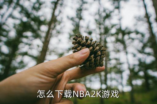 怎么下载NBA2K游戏