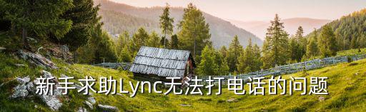 新手求助Lync无法打电话的问题