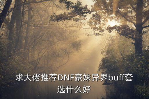 求大佬推荐DNF豪妹异界buff套选什么好