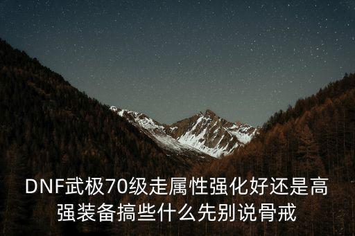 dnf起源武极走什么属性，dnf武极走什么属性强化