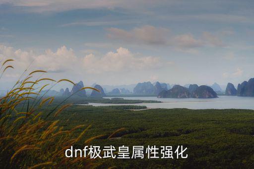 dnf极武皇属性强化