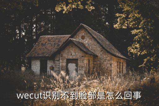 wecut识别不到脸部是怎么回事