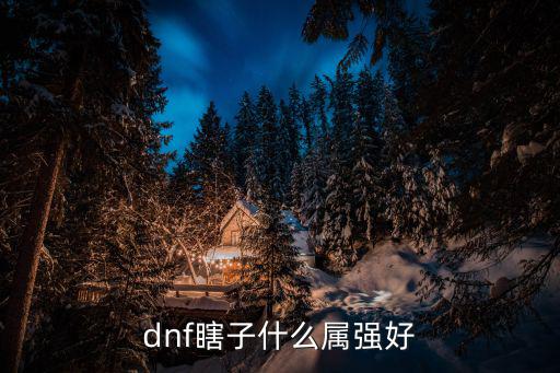 dnf瞎子什么属强好