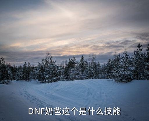 DNF奶爸这个是什么技能