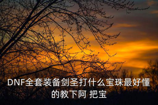 DNF全套装备剑圣打什么宝珠最好懂的教下阿 把宝