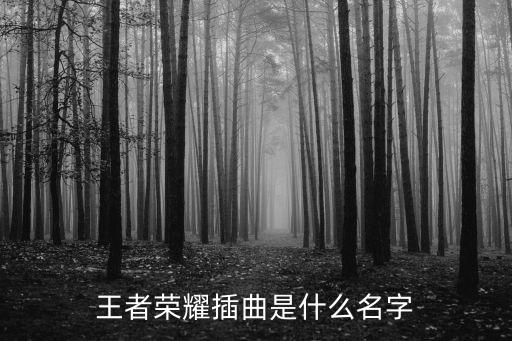 王者荣耀插曲是什么名字