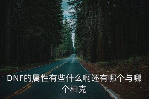 dnf所有属性都是什么，dnf属性有哪些