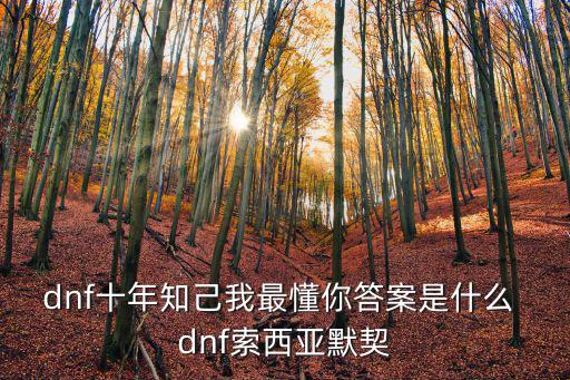 dnf十年知己我最懂你答案是什么 dnf索西亚默契