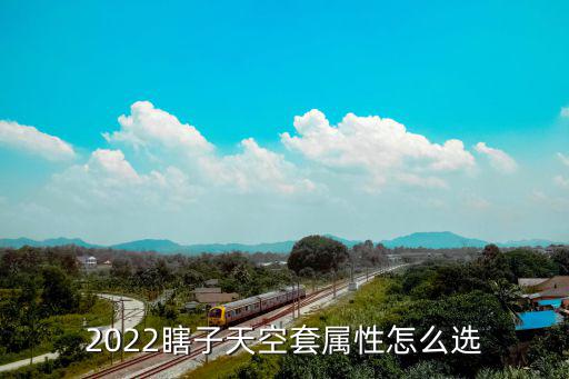 2022瞎子天空套属性怎么选