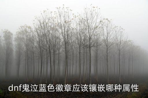 dnf鬼泣选什么属性徽章，dnf鬼泣蓝色徽章应该镶嵌哪种属性