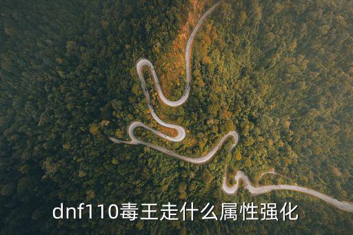 dnf110毒王走什么属性强化