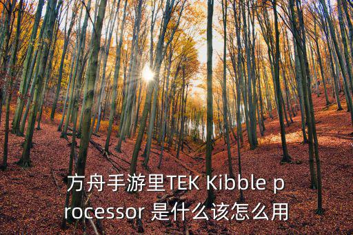 方舟手游里TEK Kibble processor 是什么该怎么用