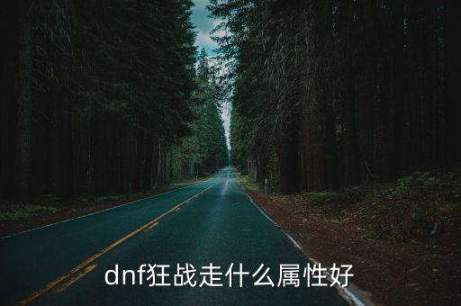 dnf狂战走什么属性好