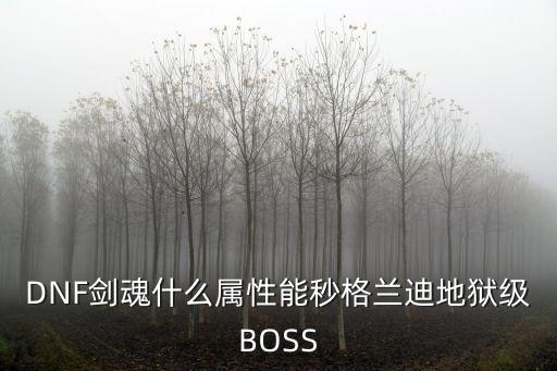 DNF剑魂什么属性能秒格兰迪地狱级BOSS