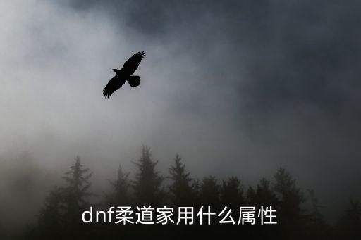 dnf柔道家用什么属性