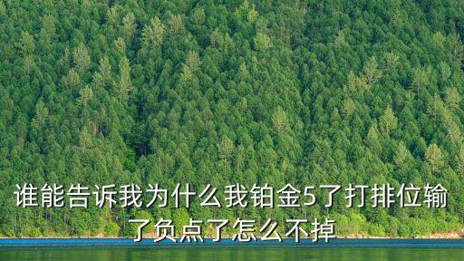 谁能告诉我为什么我铂金5了打排位输了负点了怎么不掉