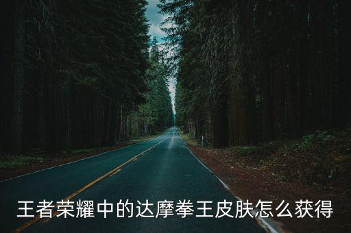 王者荣耀中的达摩拳王皮肤怎么获得