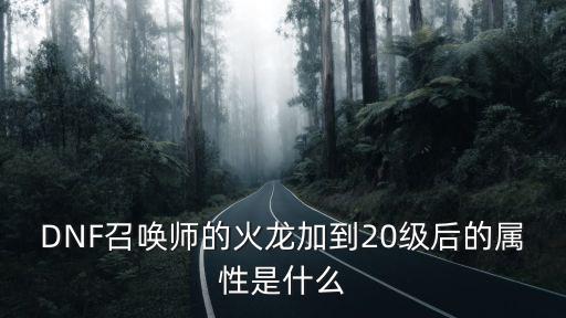 DNF召唤师的火龙加到20级后的属性是什么