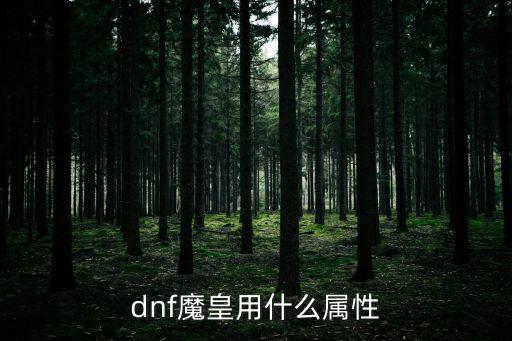 dnf魔皇刷图什么属性，dnf魔皇应该走什么属性和加点我主要刷图