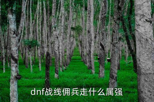 dnf战线佣兵走什么属强