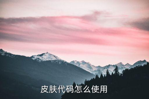 皮肤代码怎么使用