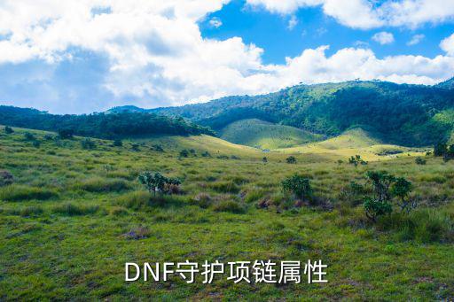 DNF守护项链属性